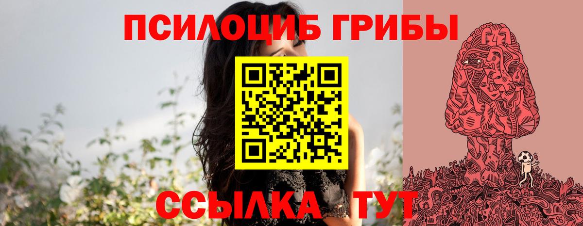 Ачхой-Мартан  Галлюциногенные грибы Magic Shrooms  где найти   Галлюциногенные грибы Magic Shrooms  Вход с VPN 