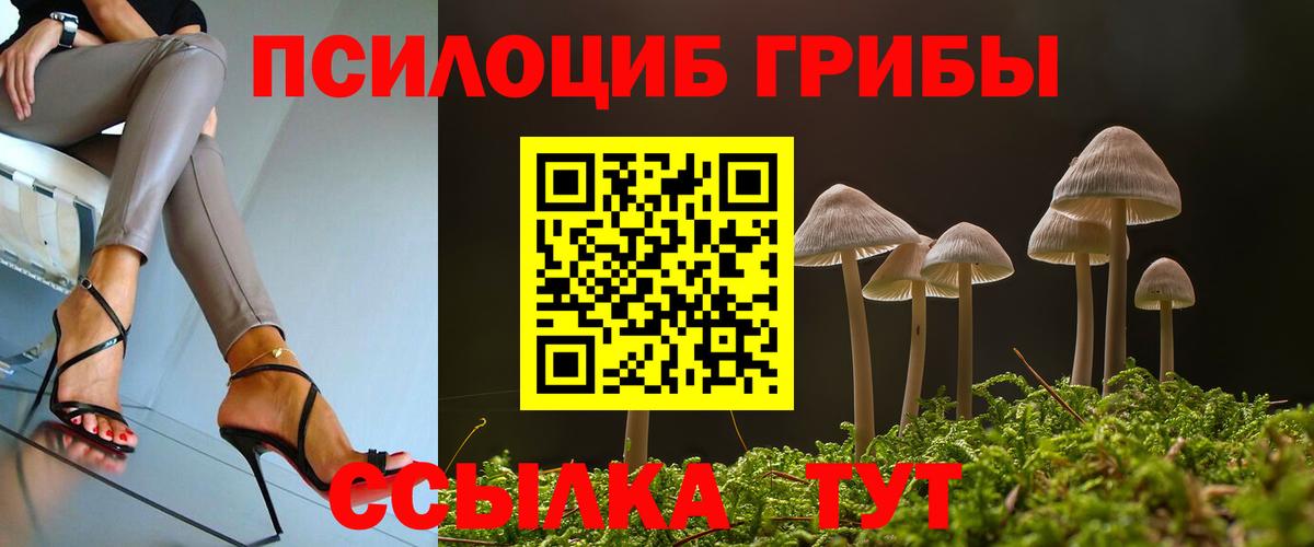 Галлюциногенные грибы прущие грибы Ачхой-Мартан