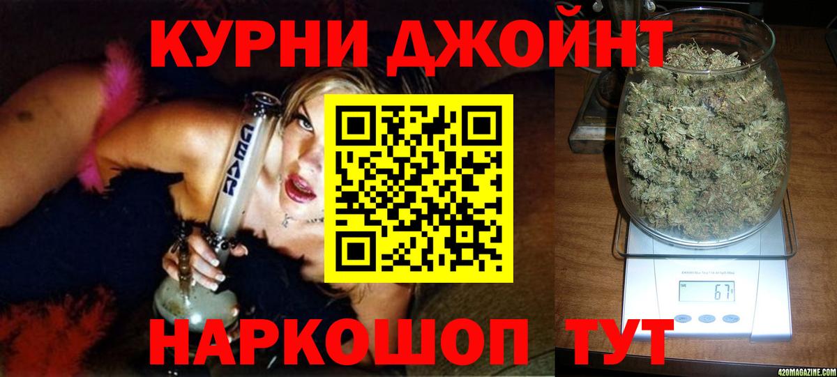 Конопля план Ачхой-Мартан